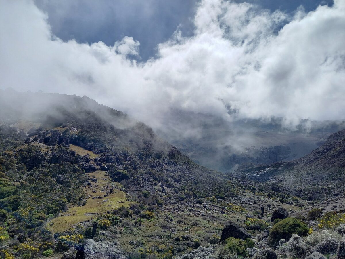tours of kilimanjaro